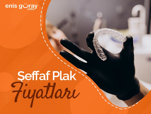Şeffaf Plak Fiyatları
